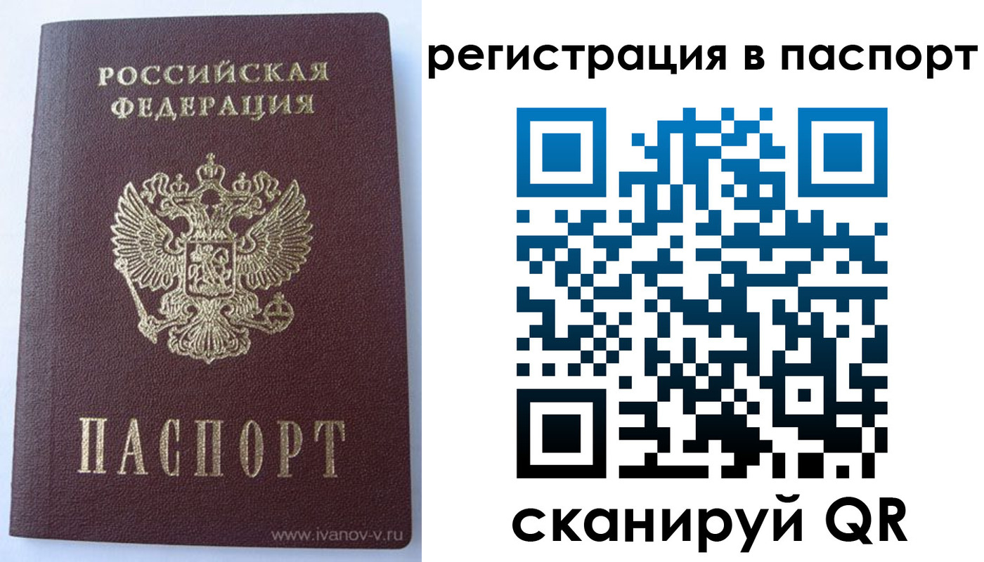 прописка поиск в Зеленогорске
